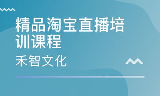 杭州禾智文化 課程特色、價格及網絡文化經營解析